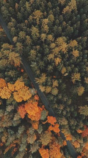 济南seo培训截图3