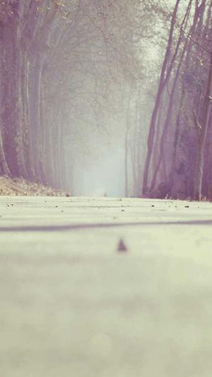 武汉高端网站建设截图3