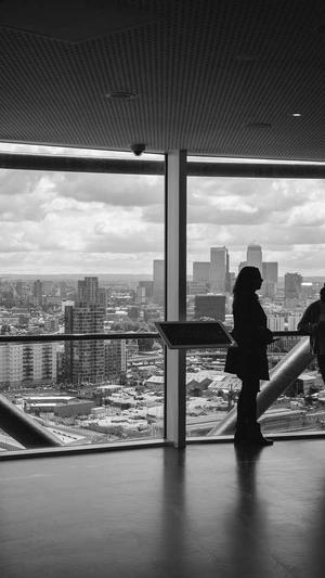 河南头条蜘蛛池出租截图4