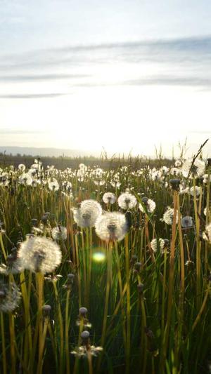 重庆seo排名扣费截图1
