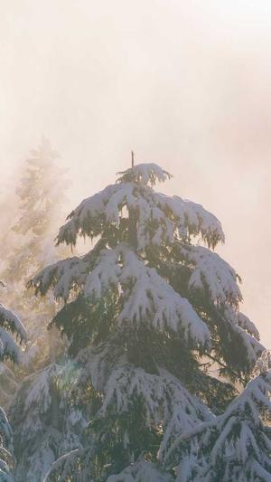 企业seo如何优化截图4