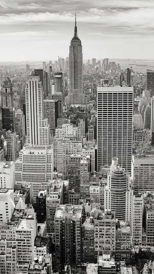 蜘蛛池的风险截图5