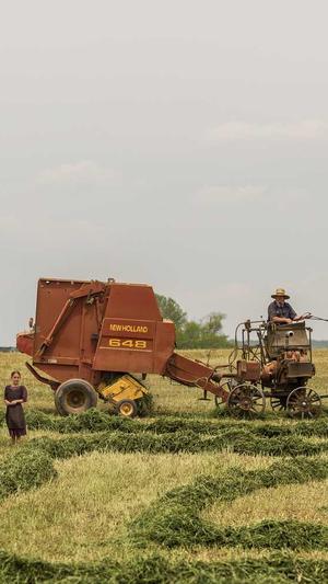 小旋风蜘蛛池正版授权截图1