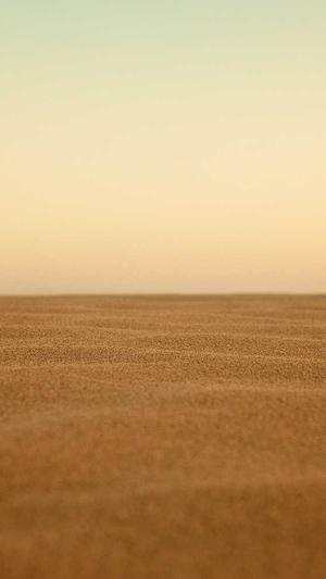 蜘蛛池出租有啥用截图3