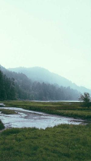 西安seo工具推荐截图5