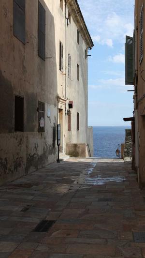 adwords对seo排名截图1