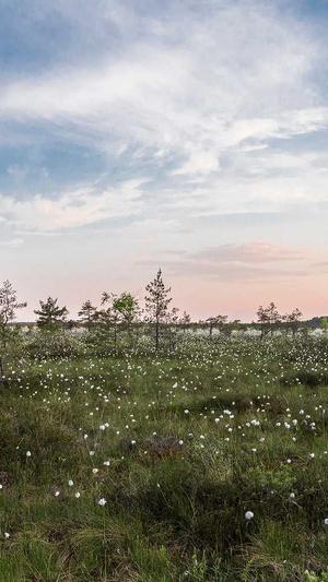 内蒙古百度蜘蛛池出租截图2