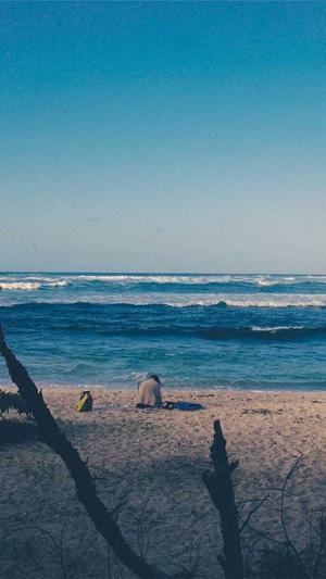 繁殖蜘蛛池出售截图1