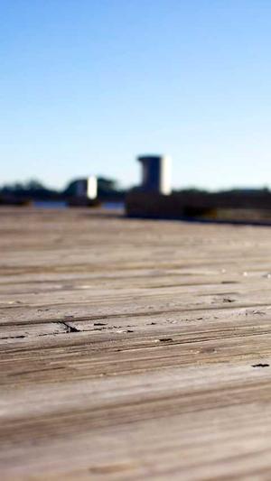 免费体验蜘蛛池的网站截图1