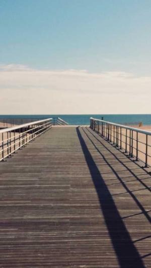 蜘蛛池跟站群的区别截图4