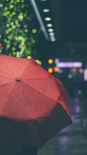 蜘蛛池5000个链接截图4