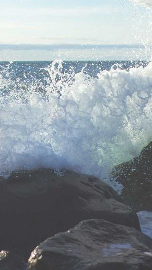 搜狗蜘蛛池引流推广截图3