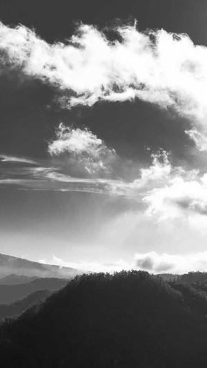 企业seo如何优化截图2