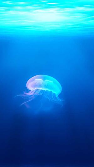 盐城网站建设截图1