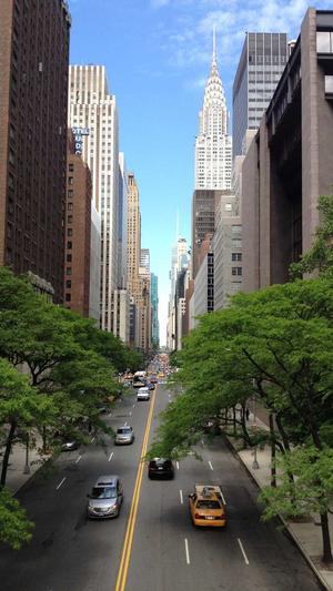 沈阳seo排名优化截图2