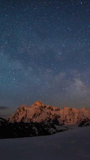 蜘蛛池用法截图1