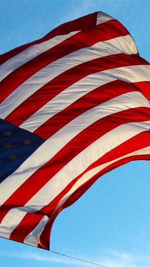 seo优化网站推广截图1