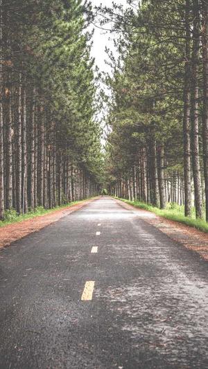 seo搜索引擎优化工具截图5