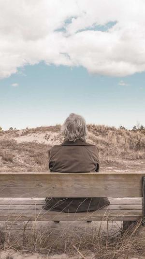 蜘蛛池百度会收录吗截图2