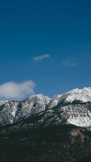 站长之家seo工具截图3