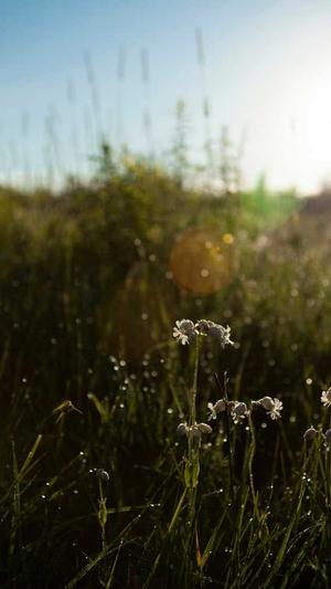 爱站seo工具截图3