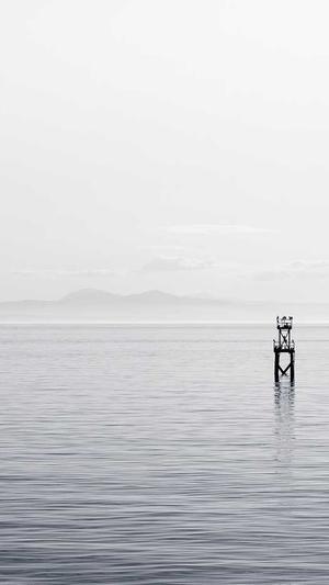 佛山网站的建设截图2