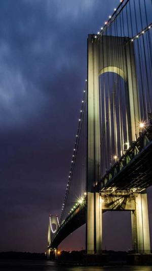 蜘蛛池出租租用截图5