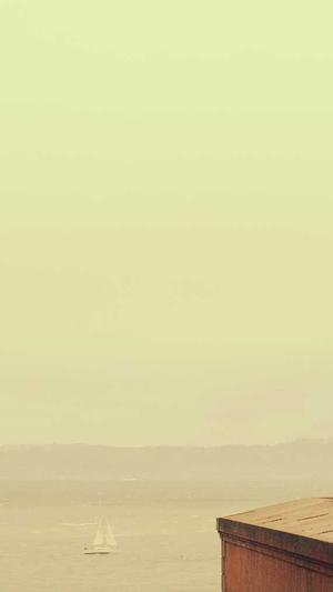 阿里蜘蛛池安装教程截图3