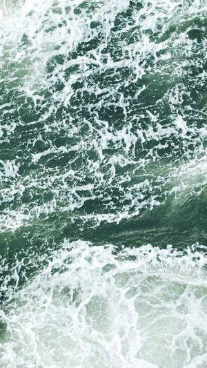 河南蜘蛛池租用截图4