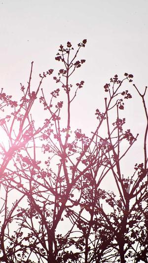 高端网站建设需要的人员配备截图4