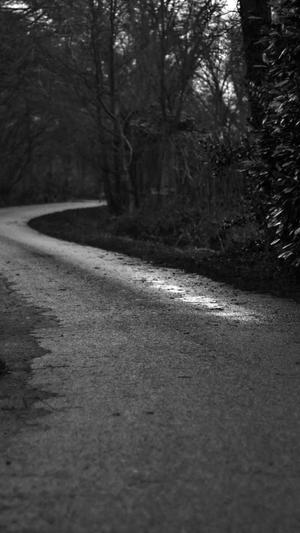 超级seo外链工具截图1