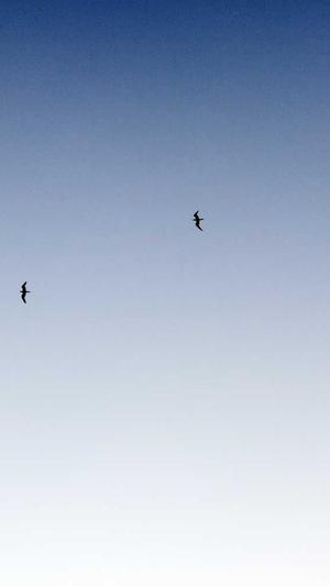 泛目录技术截图3