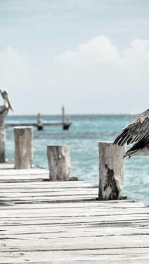 哪个泛目录程序最好截图2