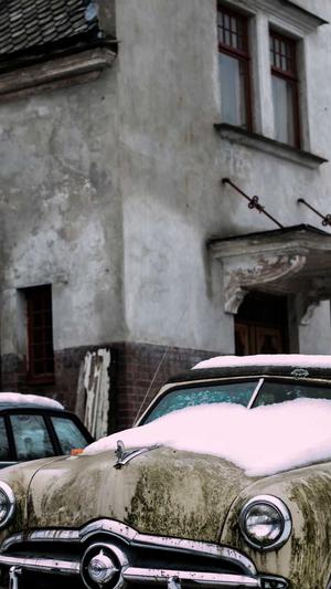 最好的蜘蛛池在哪儿截图1