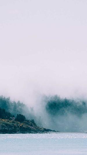 蜘蛛池刷排名需要多久截图2