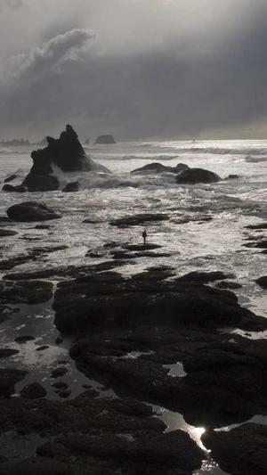 北京seo推广工具截图2