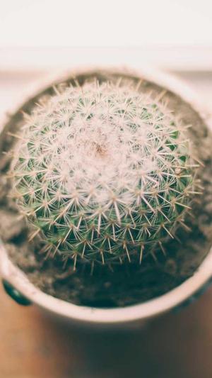 百度seo优化软件截图3