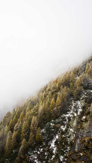 seo工具最好的是什么截图4