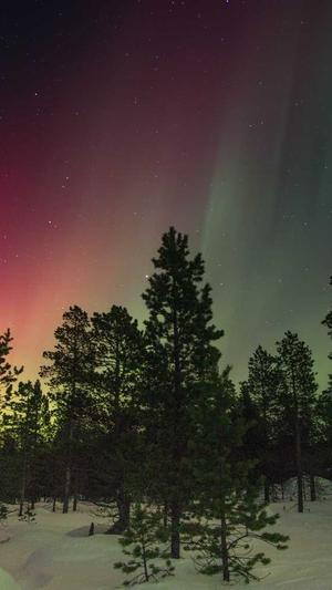 蜘蛛池用法截图3