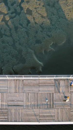 站长工具seo808截图4