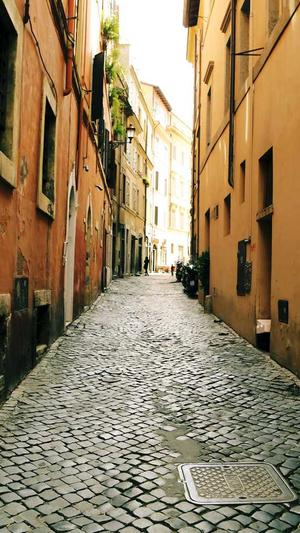 泛目录站群教程截图3