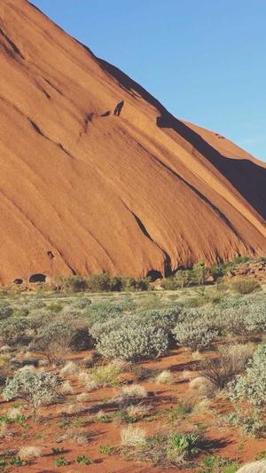 仙桃网站建设截图1