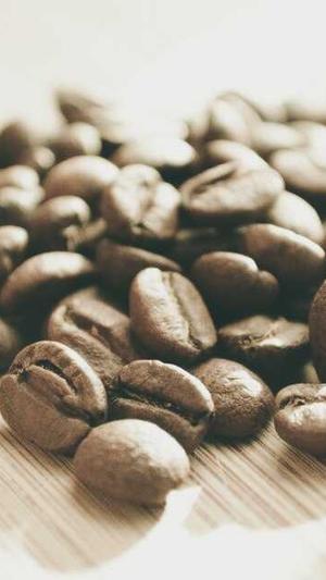 佛山seo工具截图4