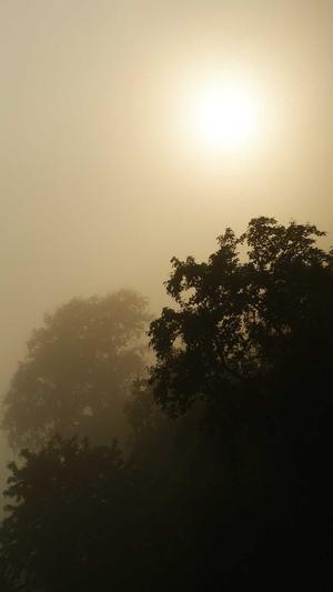 蜘蛛池高级版截图2