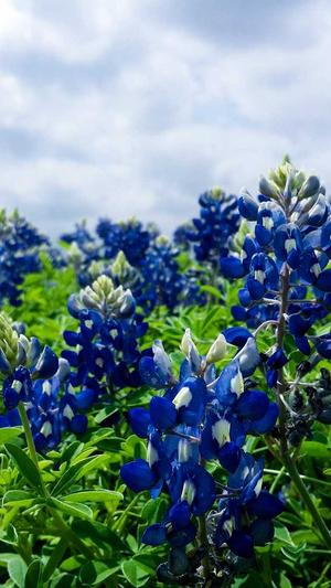 优化seo价格截图1