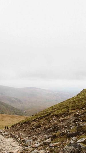 云南蜘蛛池出租服务截图1