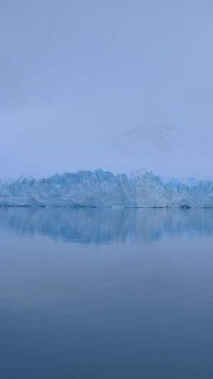 蜘蛛池免费软件下载截图3