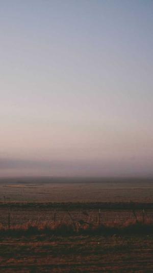 seo自动发外链工具截图3