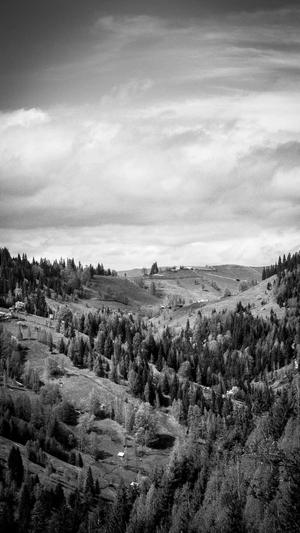 局域网站建设截图4