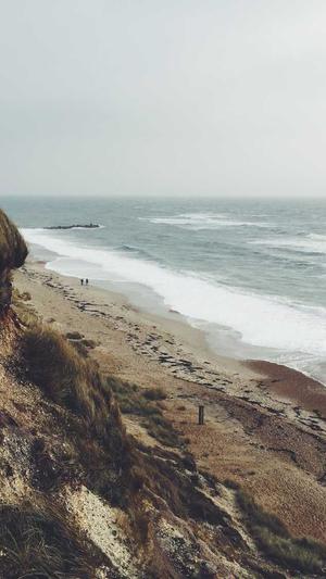 怎么自己写蜘蛛池程序截图4